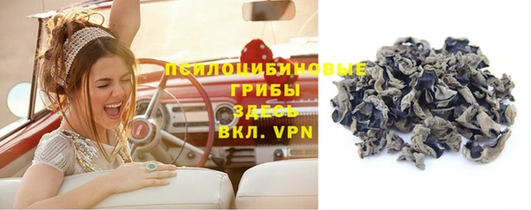 сатива Семикаракорск