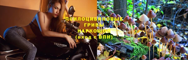кристаллы Дегтярск